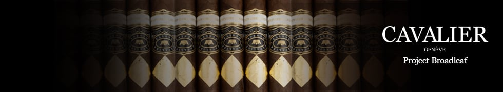 Category display banner